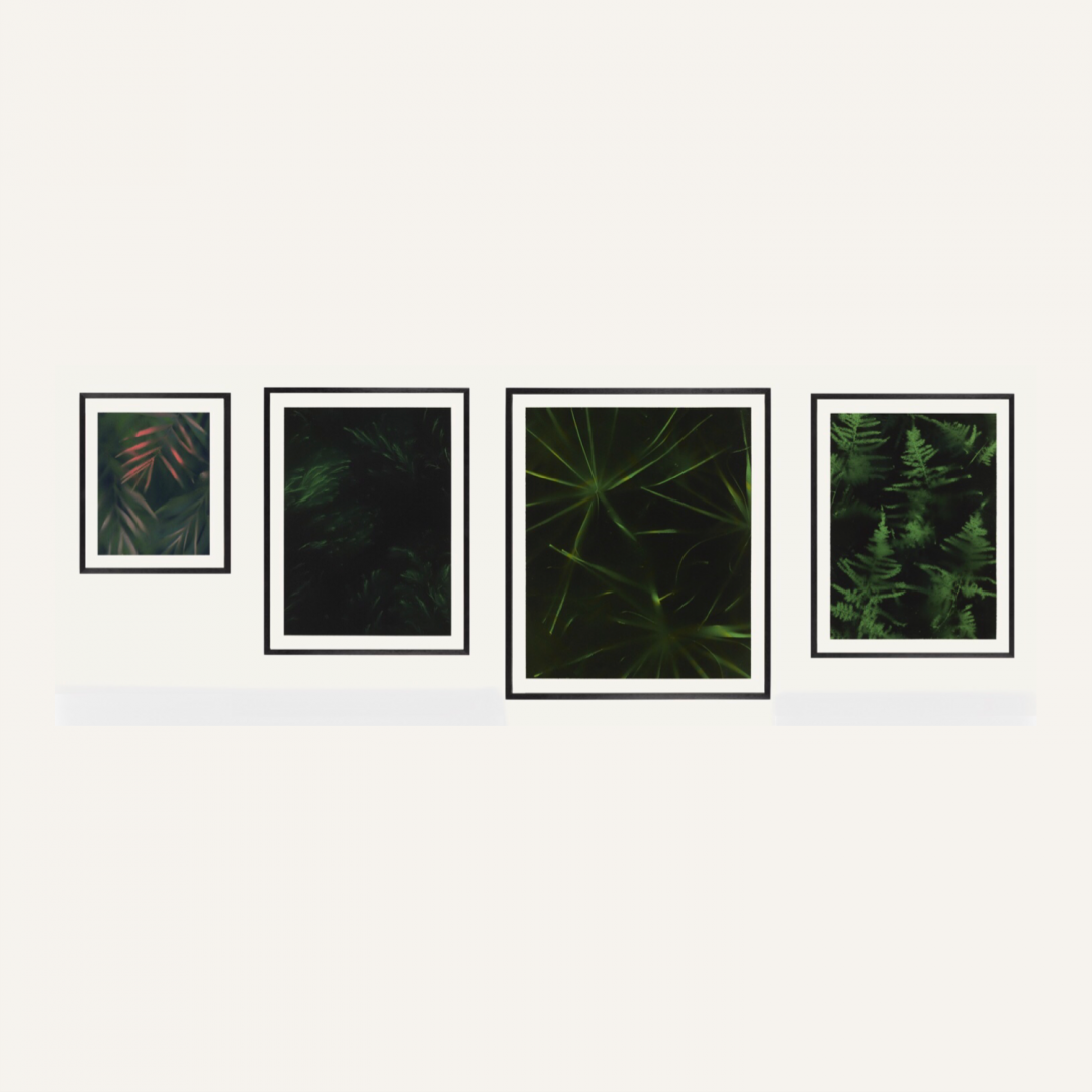 Marlon de Azambuja, Nocturnas (2020); spray paint and tropical plants on canvas; dimensions variable
