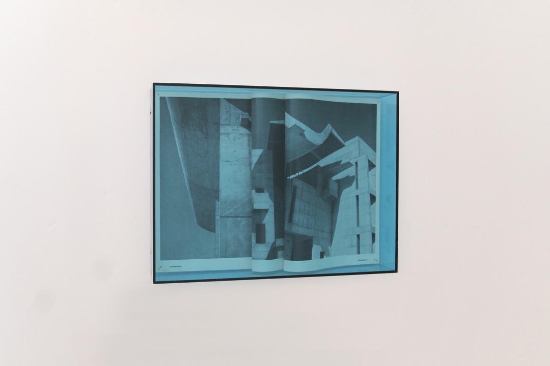 My house is a Le Corbusier (Palace of Assembly - Chandigarh), 2017; piega di pagine di libri, plexiglass Altuglass, poliplat, spilli. Courtesy the artist